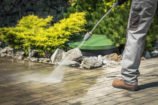 Best Driveway Pressure Washing  in Auburn, AL